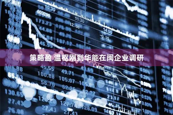 策略盈 温枢刚到华能在闽企业调研
