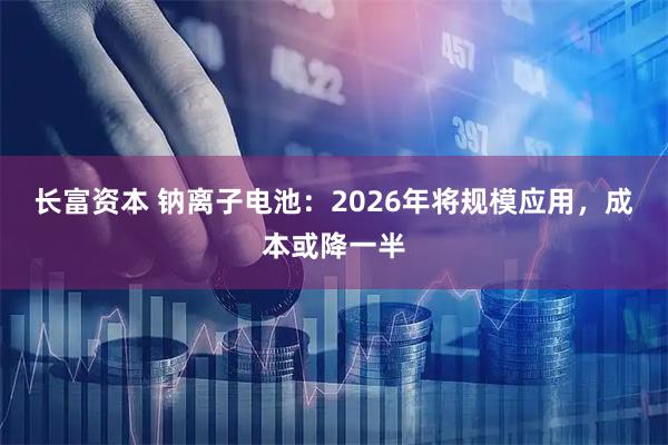 长富资本 钠离子电池：2026年将规模应用，成本或降一半