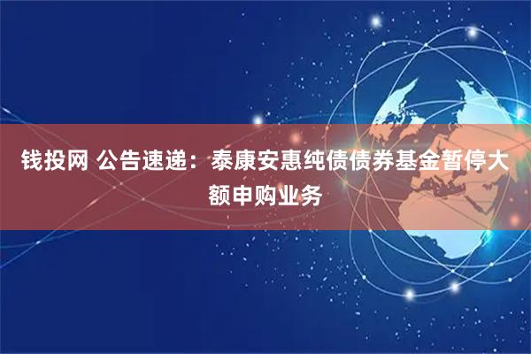 钱投网 公告速递：泰康安惠纯债债券基金暂停大额申购业务