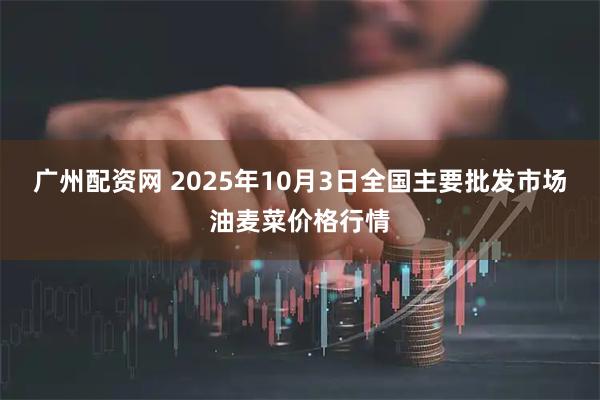 广州配资网 2025年10月3日全国主要批发市场油麦菜价格行情
